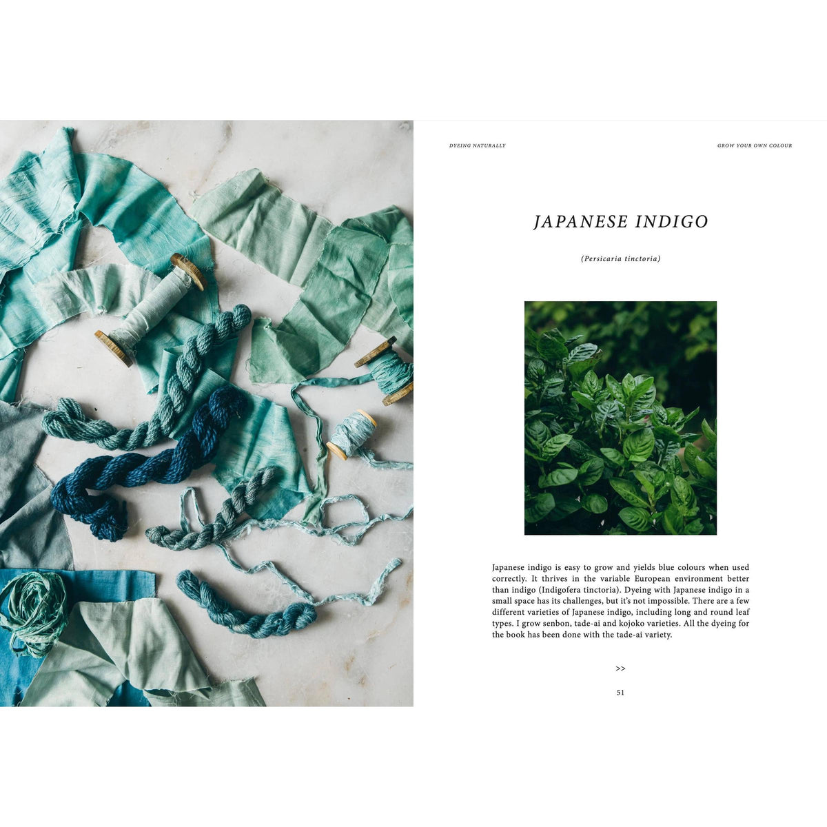 Cozy Publishing-Crafts & Knitting: Dyeing Naturally-book-gather here online