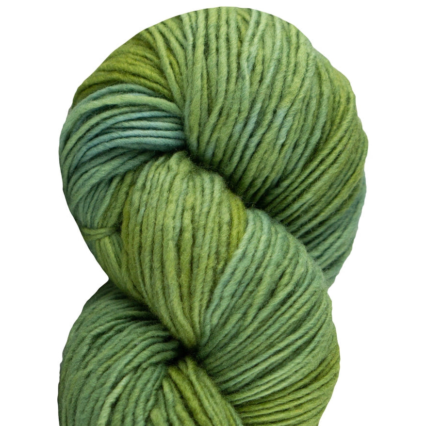 Manos del Uruguay-Maxima-yarn-M2321 Herb-gather here online
