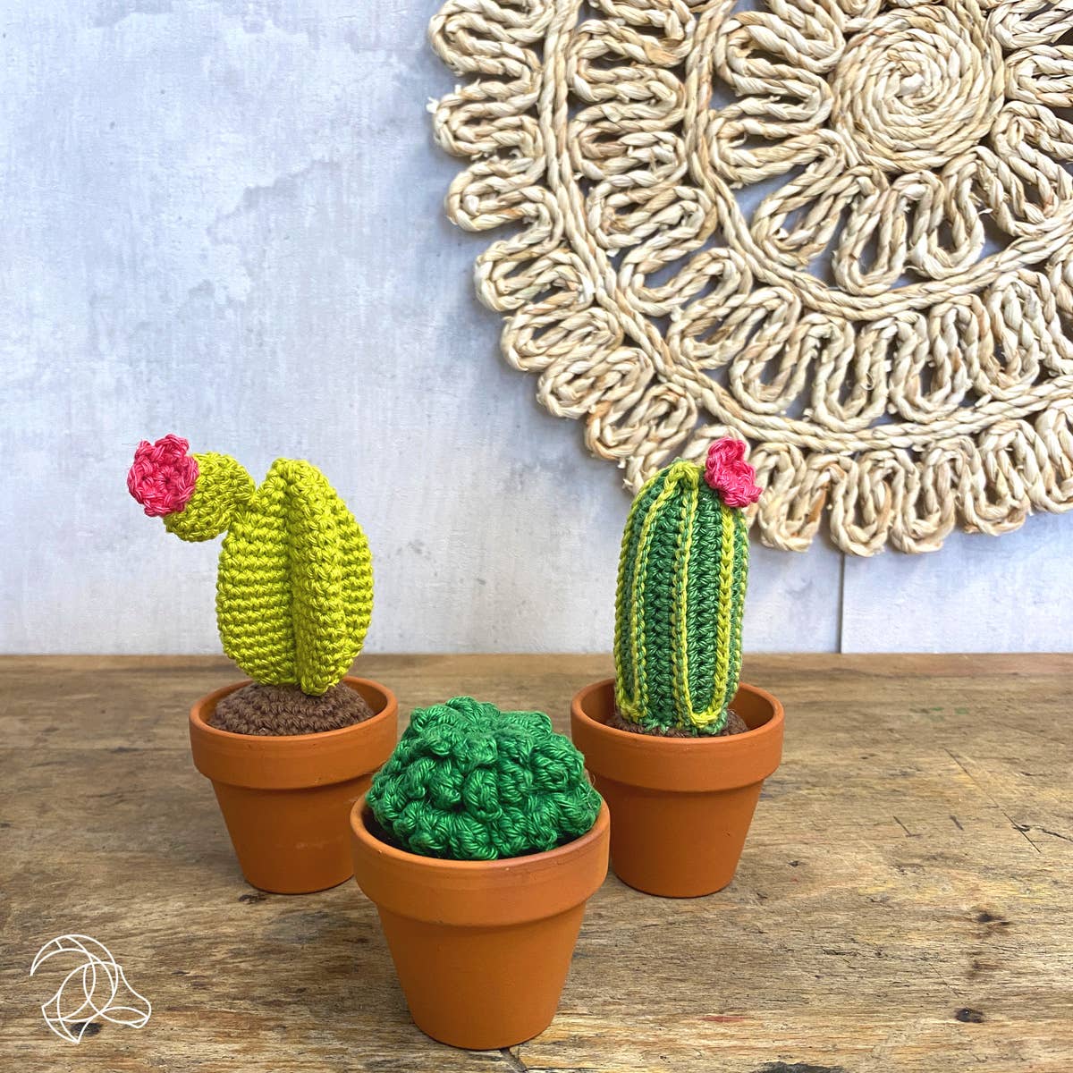 Hardicraft-DIY Crochet Kit - Cacti-knitting / crochet kit-gather here online