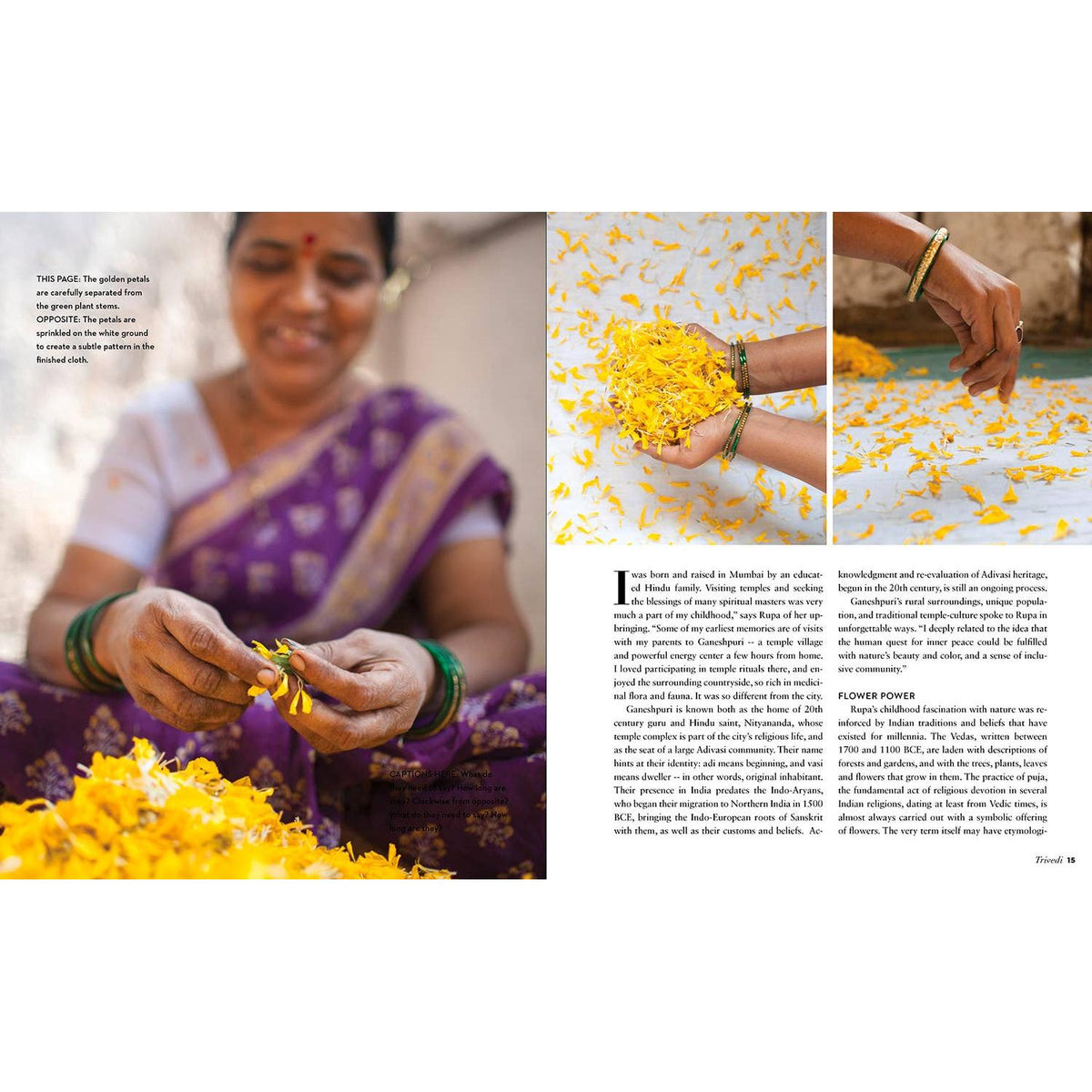 Schiffer Publishing-True Colors, 2nd Edition-book-gather here online