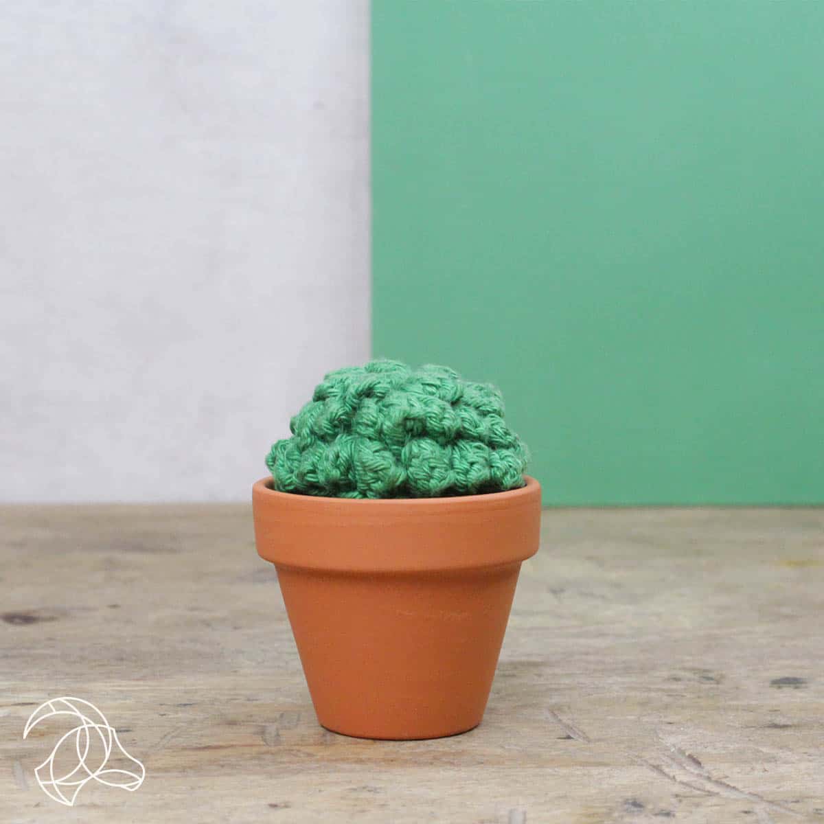 Hardicraft-DIY Crochet Kit - Cacti-knitting / crochet kit-gather here online