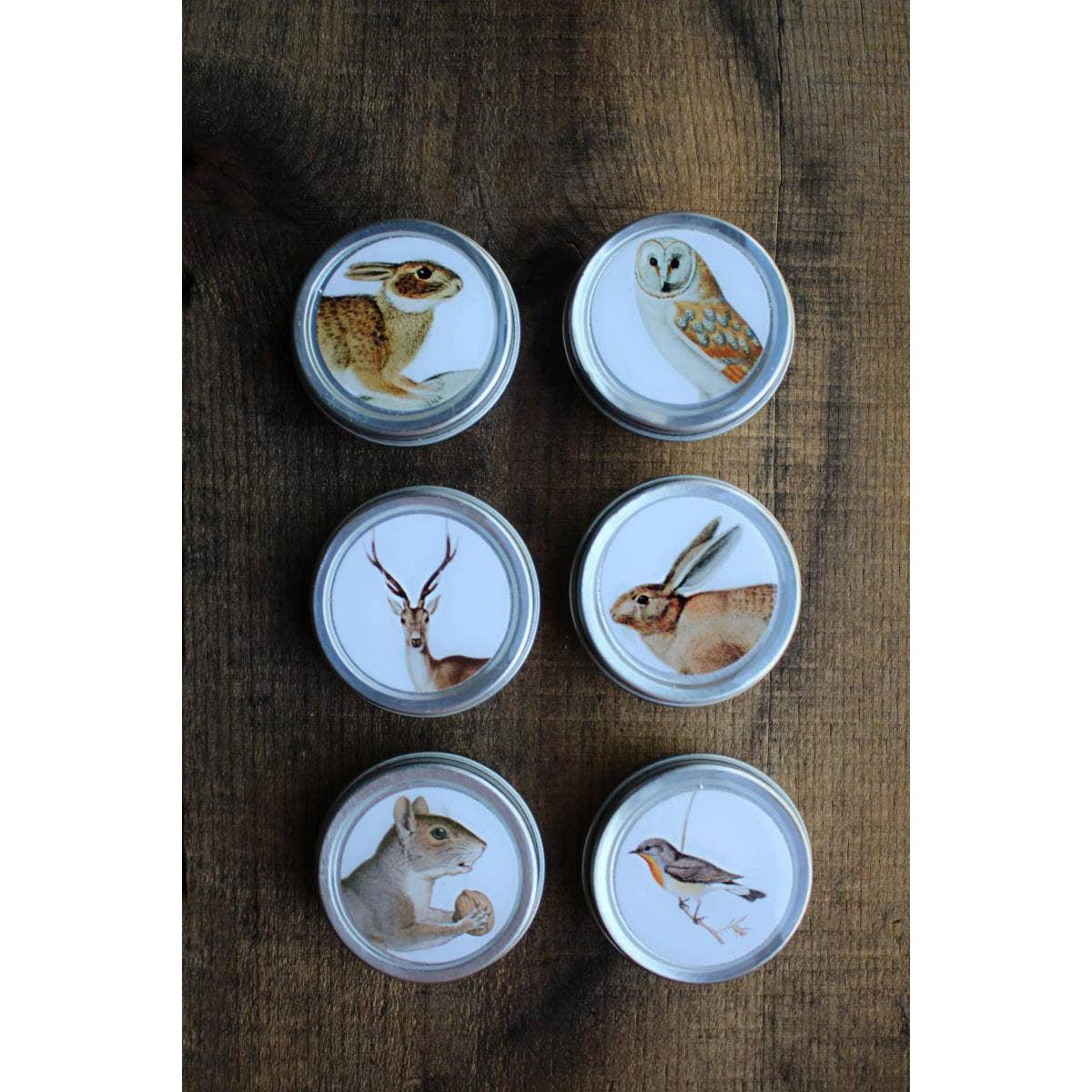 NNK Press-Forest Friends Mini Tins-accessory-gather here online