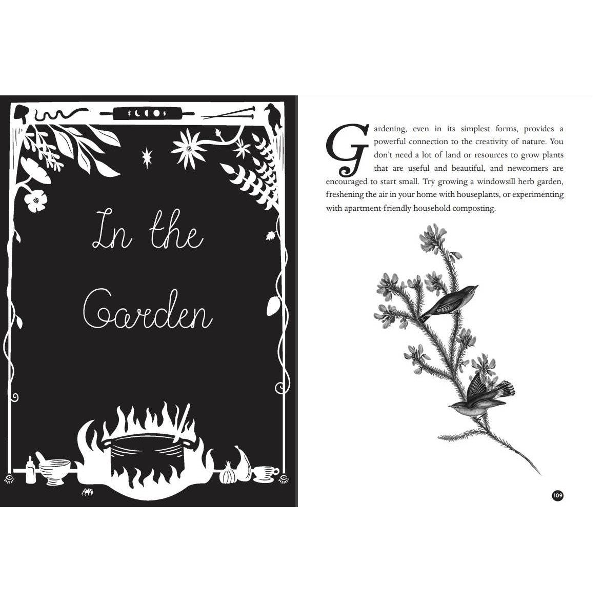 Microcosm Publishing & Distribution-Kitchen Witch: Natural Remedies & Crafts-book-gather here online