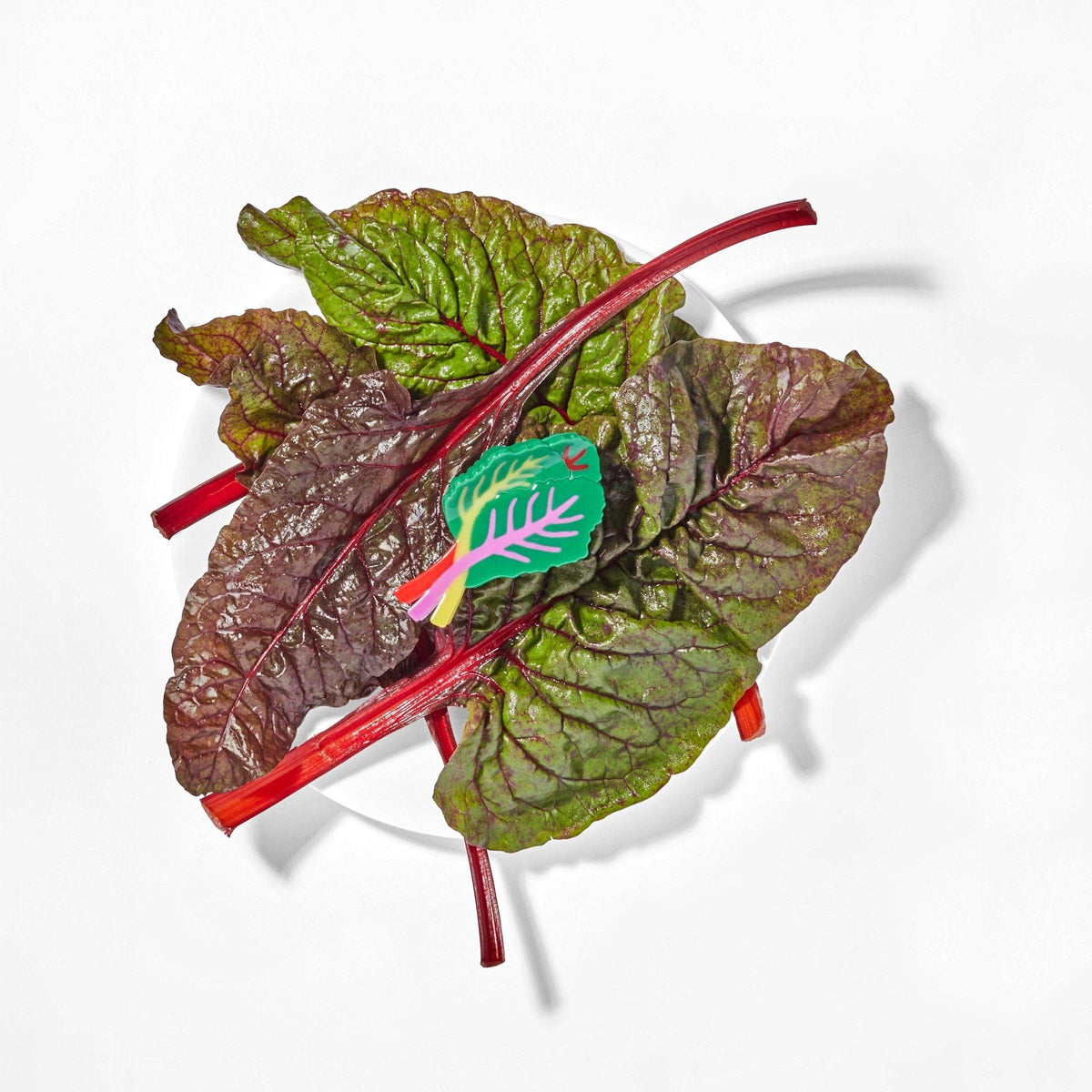 Jenny Lemons-Rainbow Chard Hair Claw-accessory-gather here online