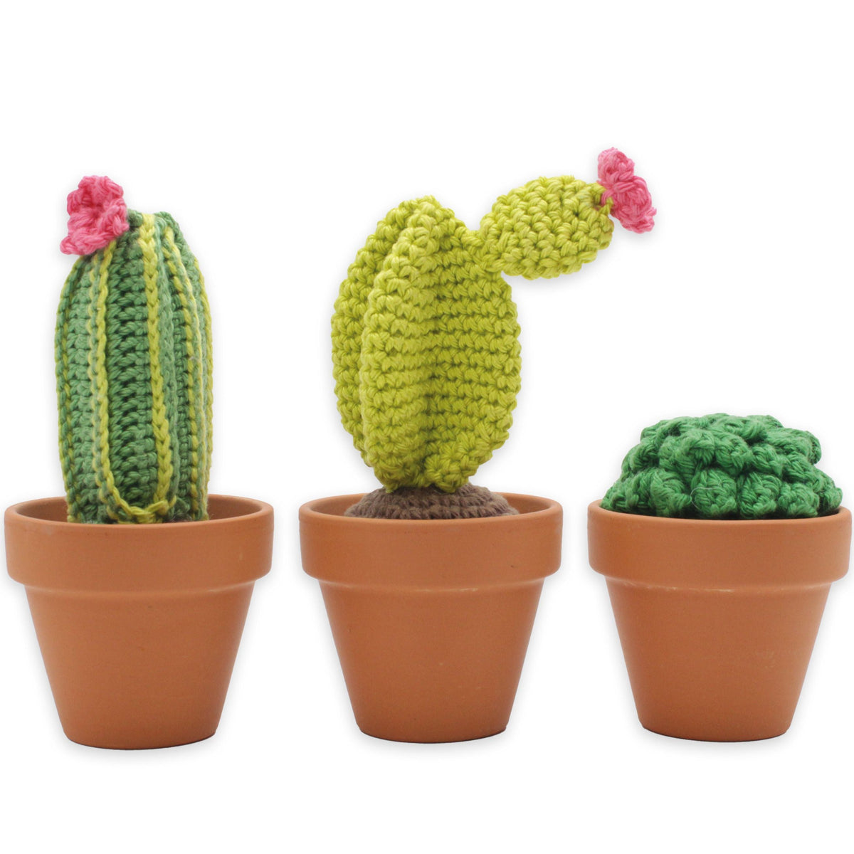 Hardicraft-DIY Crochet Kit - Cacti-knitting / crochet kit-gather here online