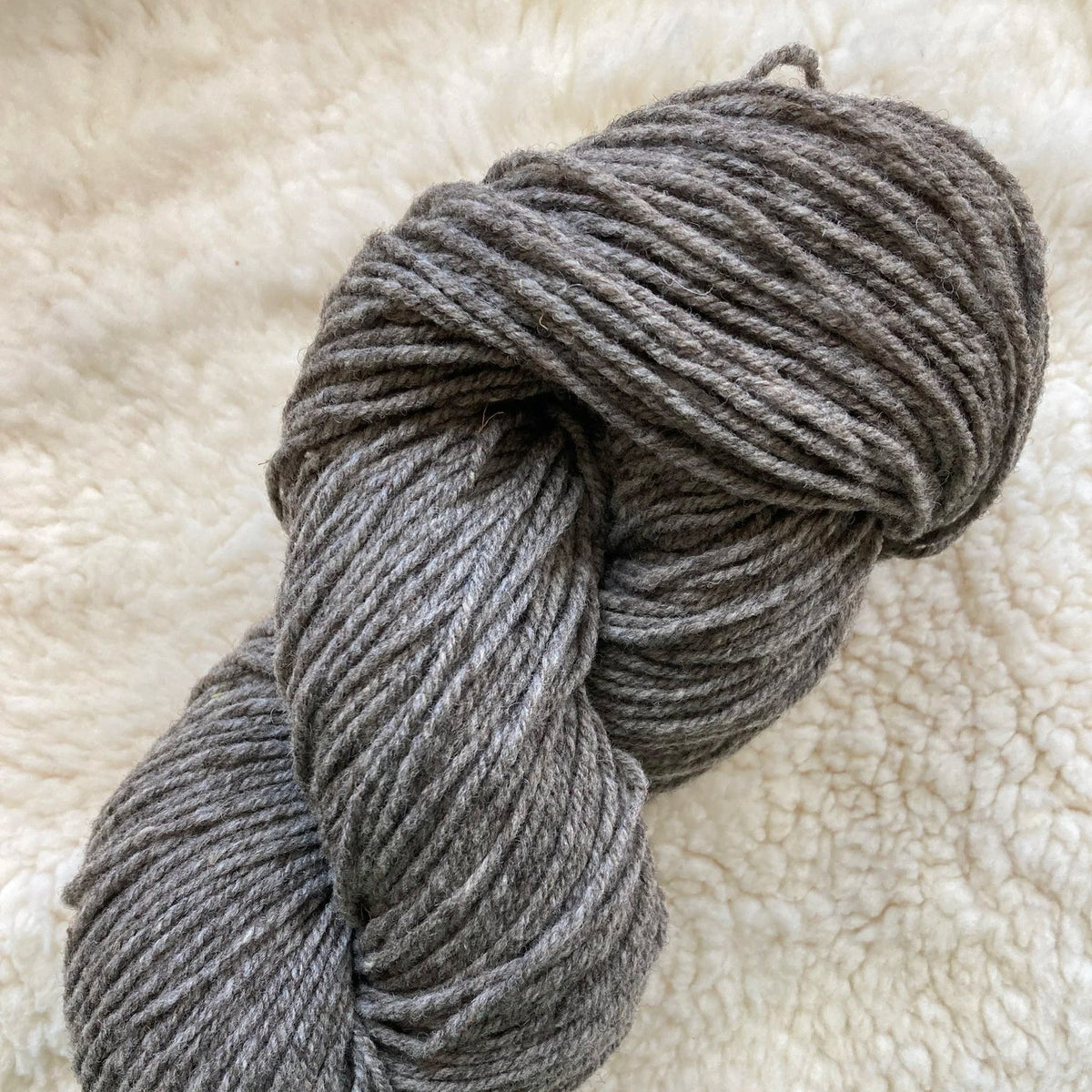 Jill Draper-Amalgam-yarn-Amalgam 3 (60% Targhee 40% Welsh Mountain Black)-gather here online