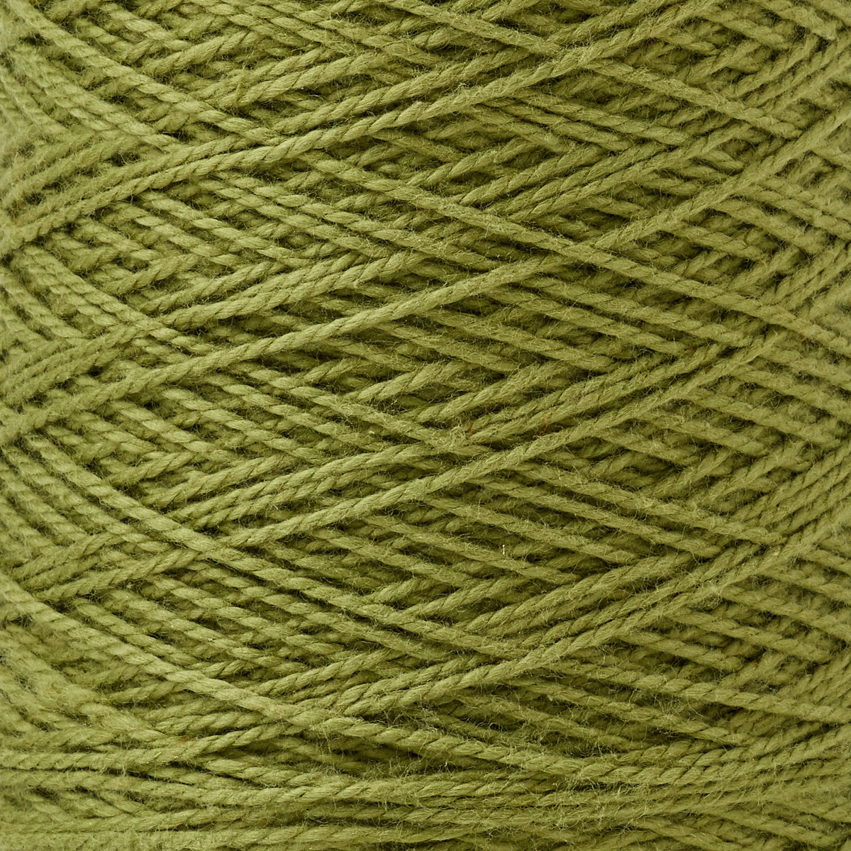 Gist Yarn-Beam 3/2 Organic Cotton Weaving Yarn-yarn-Avocado-gather here online