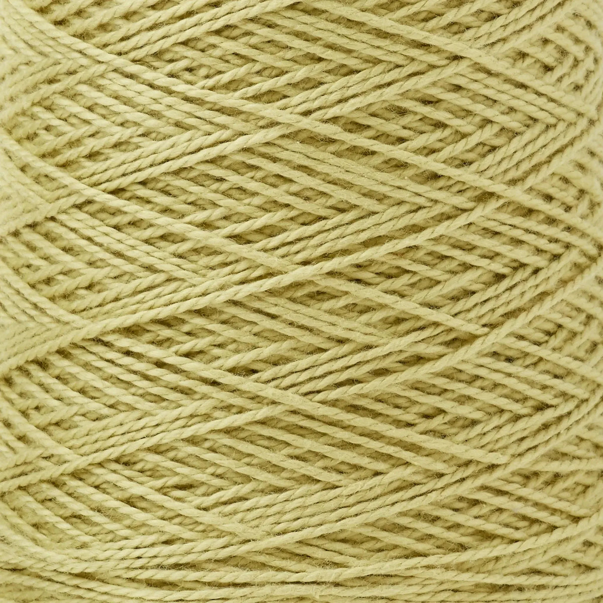 Gist Yarn-Beam 3/2 Organic Cotton Weaving Yarn-yarn-Sage-gather here online