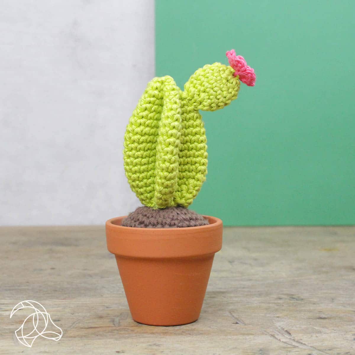 Hardicraft-DIY Crochet Kit - Cacti-knitting / crochet kit-gather here online