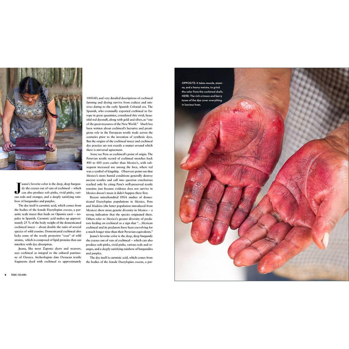 Schiffer Publishing-True Colors, 1st Edition-book-gather here online