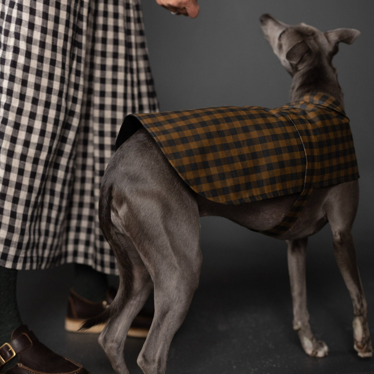 Merchant & Mills-Barka Dog Coat Pattern - PDF DOWNLOAD-sewing pattern-gather here online