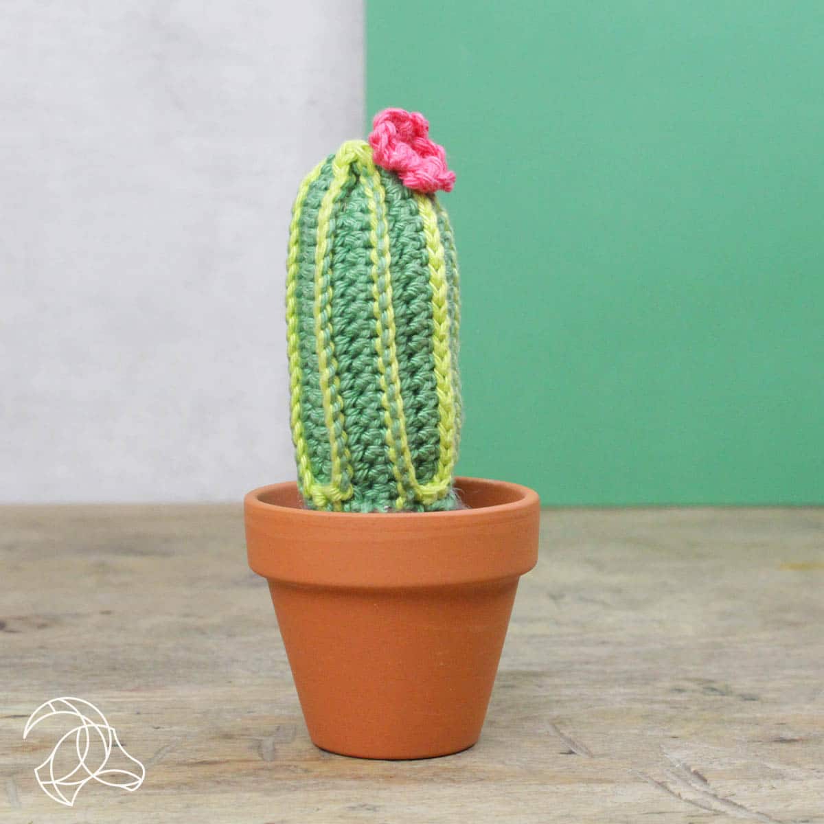 Hardicraft-DIY Crochet Kit - Cacti-knitting / crochet kit-gather here online