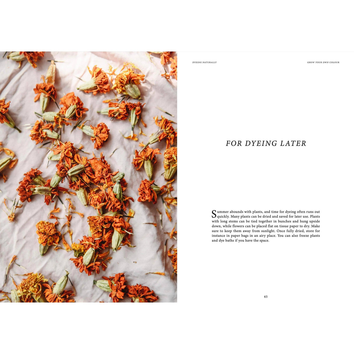 Cozy Publishing-Crafts & Knitting: Dyeing Naturally-book-gather here online