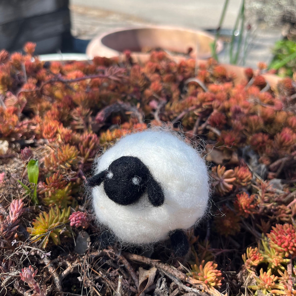 gather here classes-Needle Felted Sheep-class-gather here online
