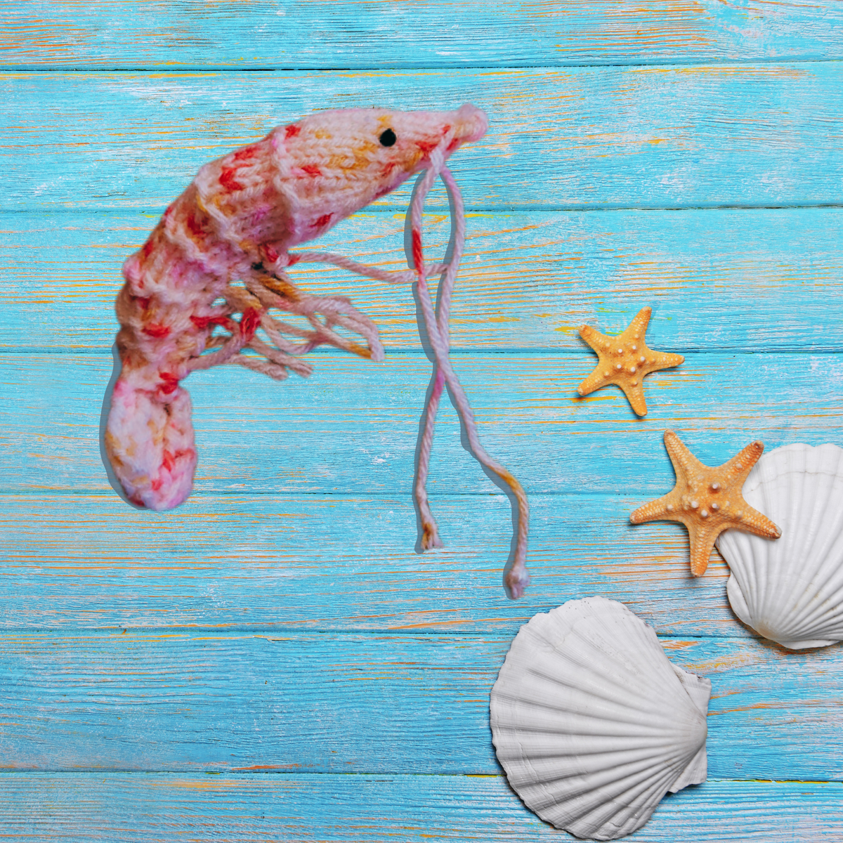 gather here classes-Knit Prawnda Cat Toy-class-gather here online