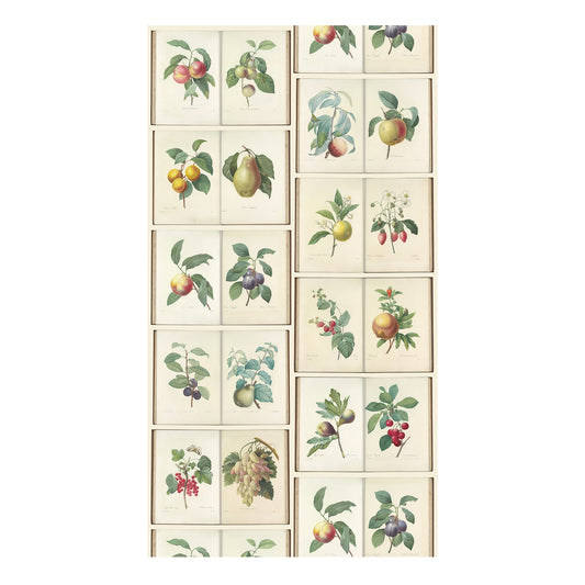 RJR-Graceful Garden Fruit Digiprint-fabric-gather here online