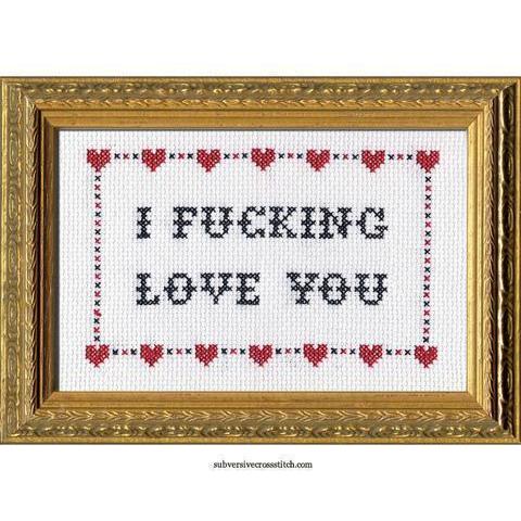 Subversive Cross Stitch - I Fucking Love You Cross Stitch Kit - - gatherhereonline.sbs