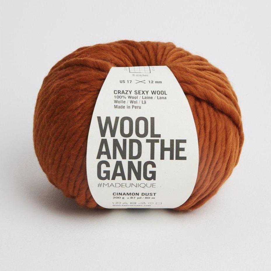 Wool and the Gang - Crazy Sexy Wool - Cinnamon dust - gatherhereonline.sbs