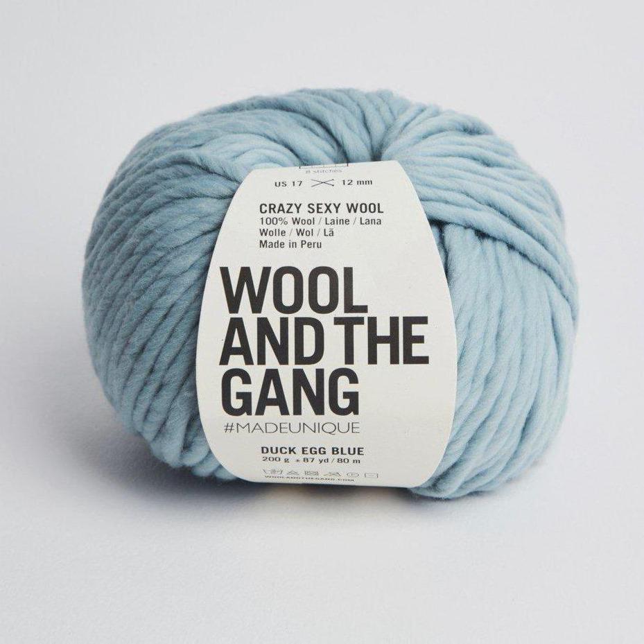 Wool and the Gang - Crazy Sexy Wool - Duck Egg Blue - gatherhereonline.sbs