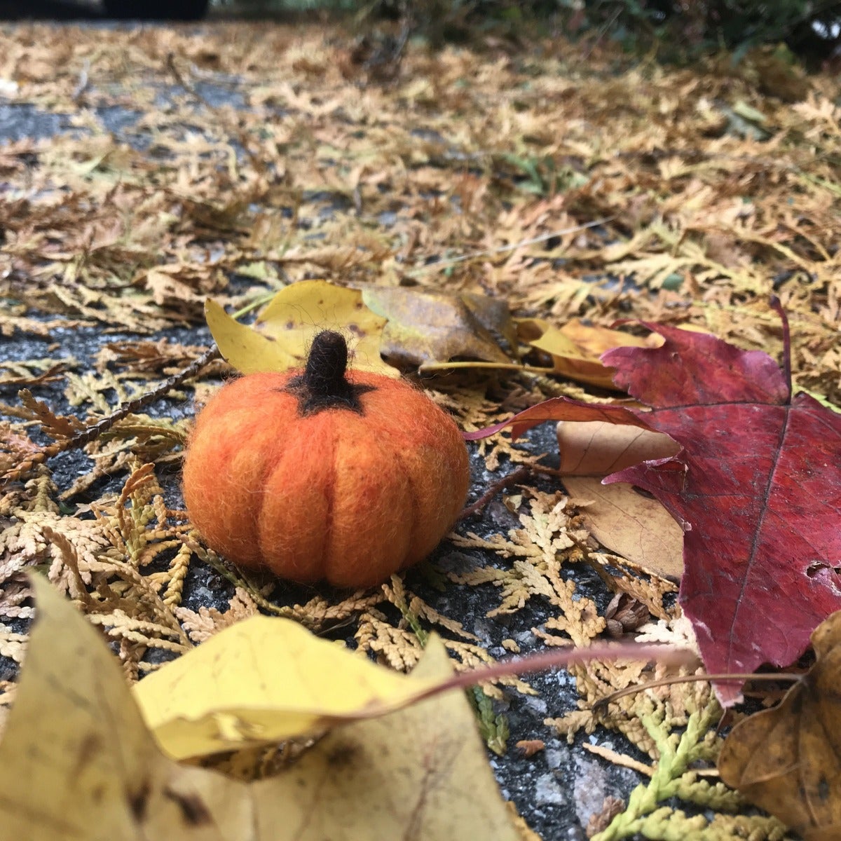 gather here classes - Inman Square 2nd Thursday - Needle Felted Pumpkin - - gatherhereonline.sbs