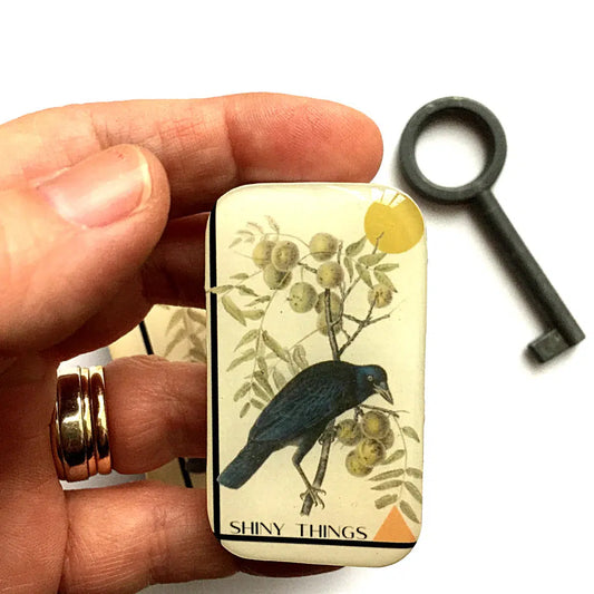 Firefly Notes-Crow Shiny Things Small Notions Tin-knitting notion-gather here online
