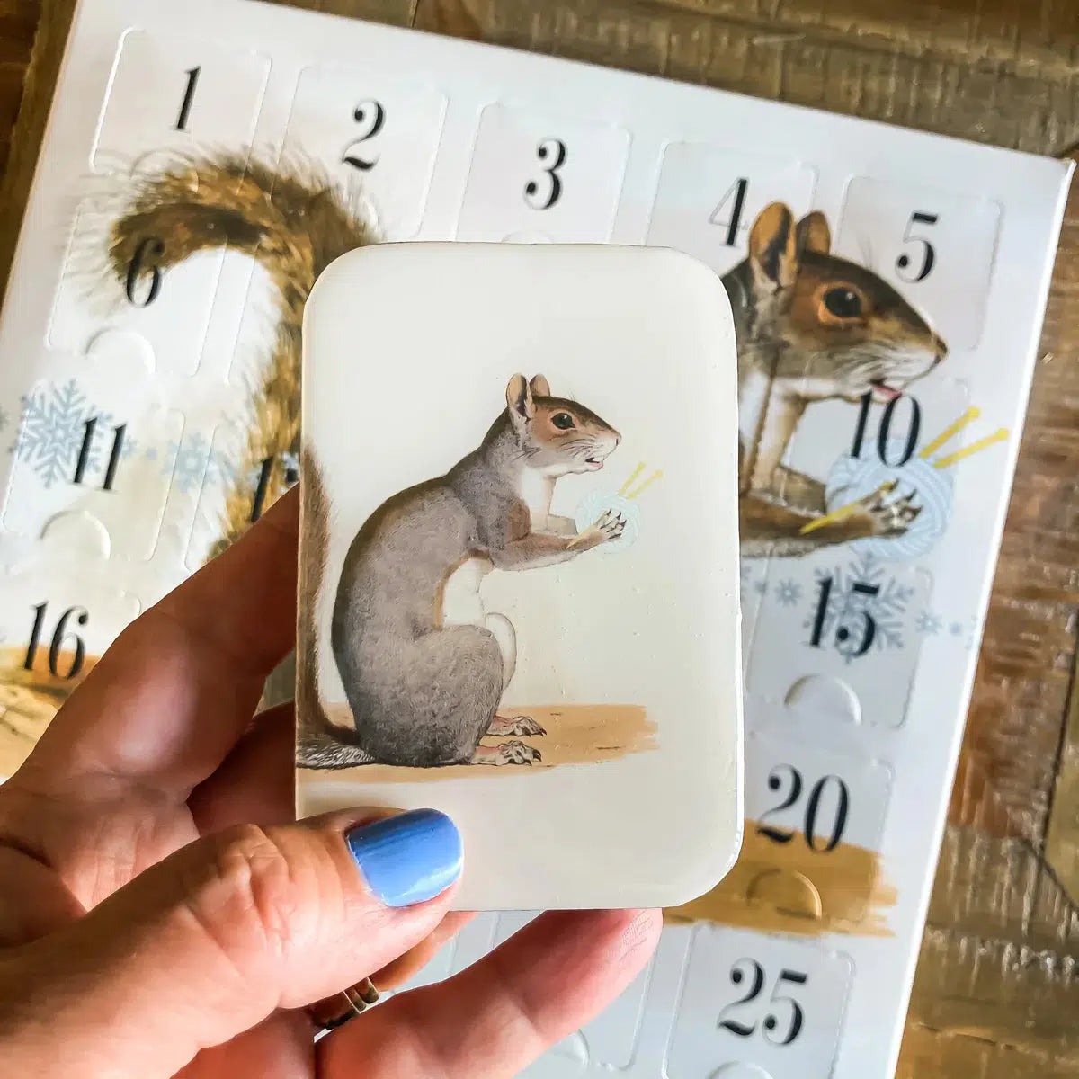 Firefly Notes-Yarn Squirrel Large Notion Tin-accessory-gather here online