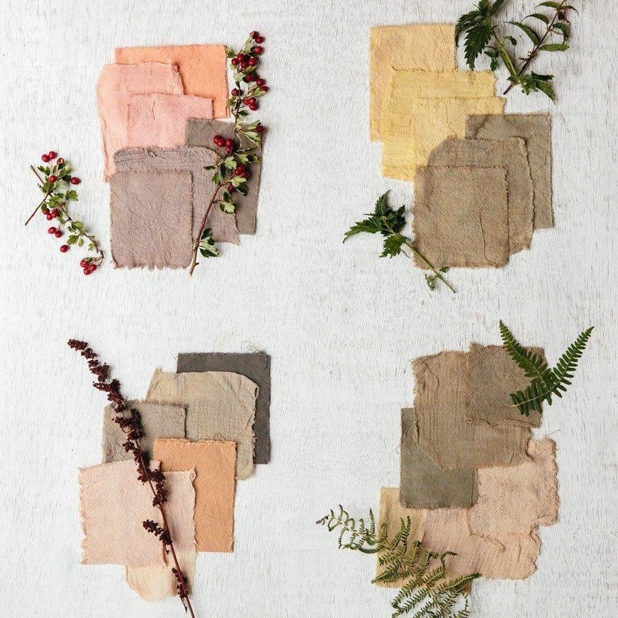 Princeton Architectural Press-The Wild Dyer-book-gather here online